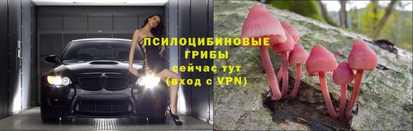 ПСИЛОЦИБИНОВЫЕ ГРИБЫ Снежногорск