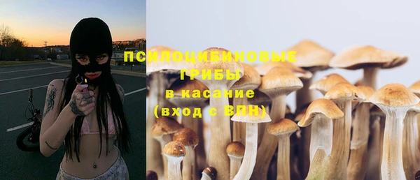 мет Ветлуга