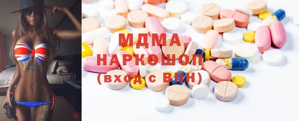 прущие грибы Новозыбков