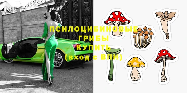 мет Ветлуга